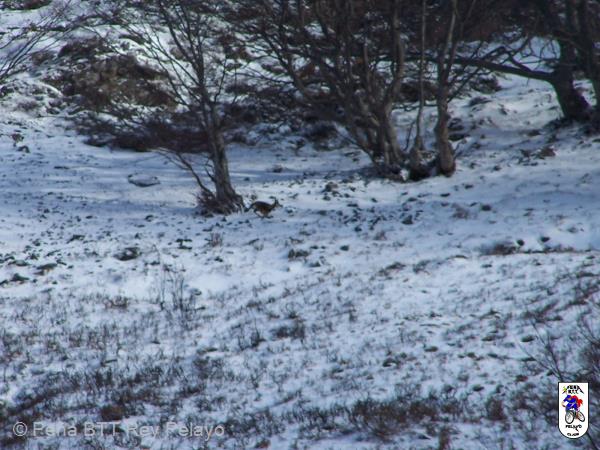 20090124134318_byJBlas.jpg