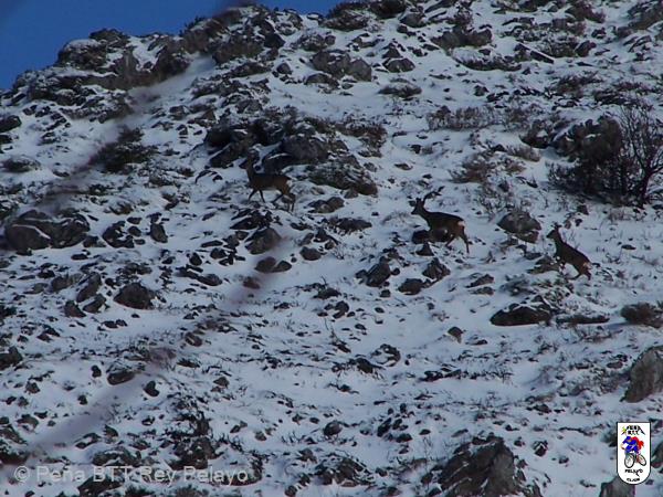 20090124134612_byJBlas.jpg