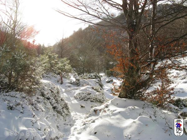 20090124135204_byPablo.jpg