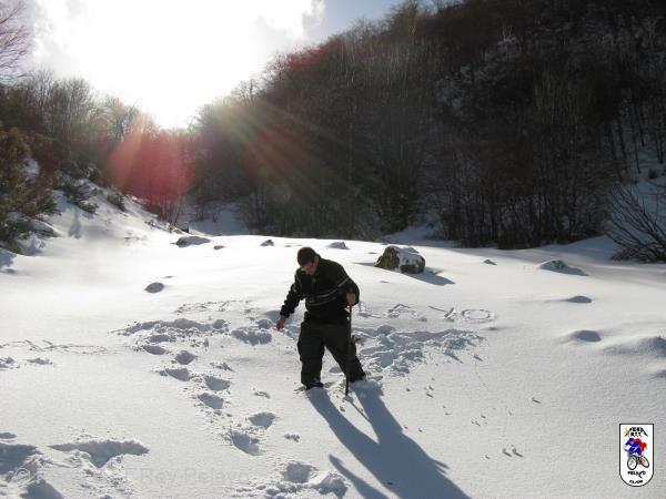 20090124140923_byPablo.jpg