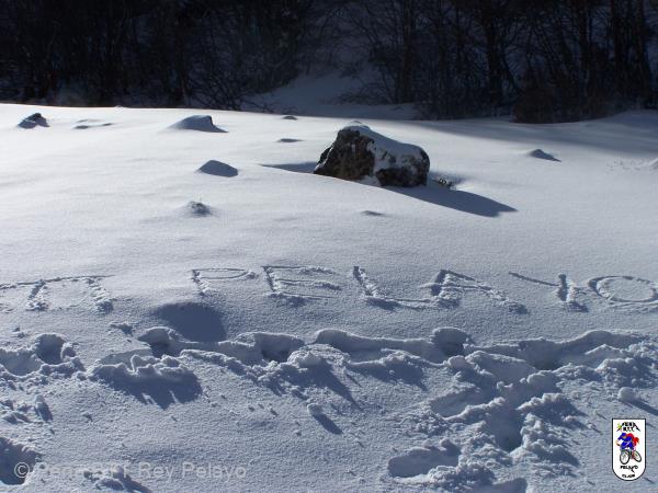 20090124141230_byJBlas.jpg