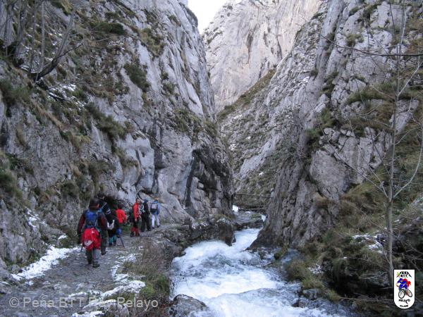 20090124145900_byPablo.jpg