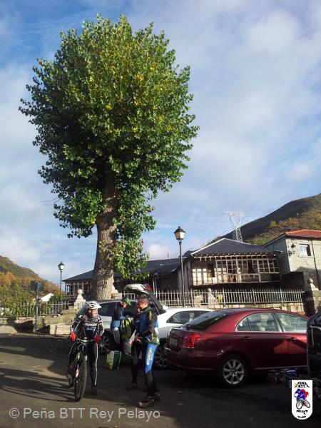 20131109093138.jpg