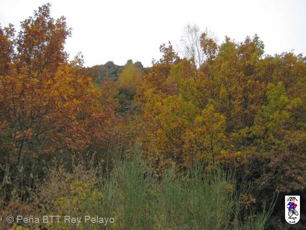 20131109120340.JPG