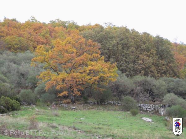 20131109121952.JPG