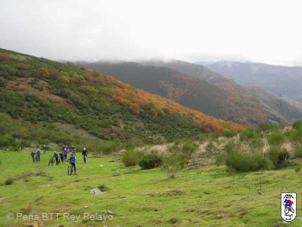 20131109124433.JPG