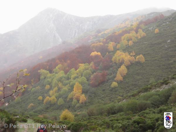 20131109152806.JPG