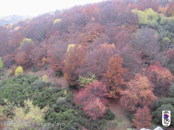 20131109153003.JPG