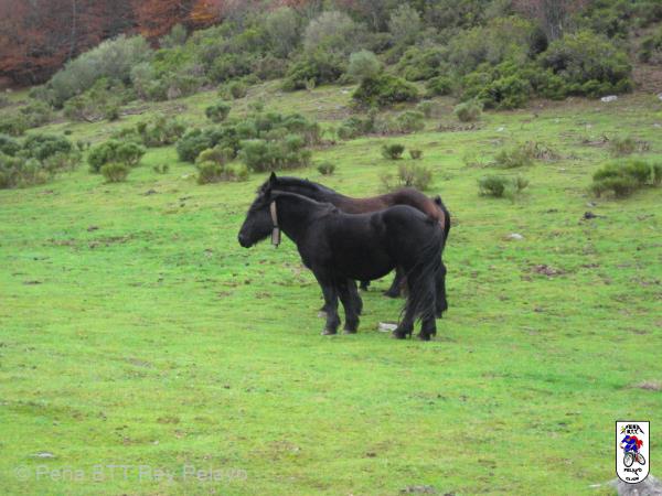 20131109154754.JPG