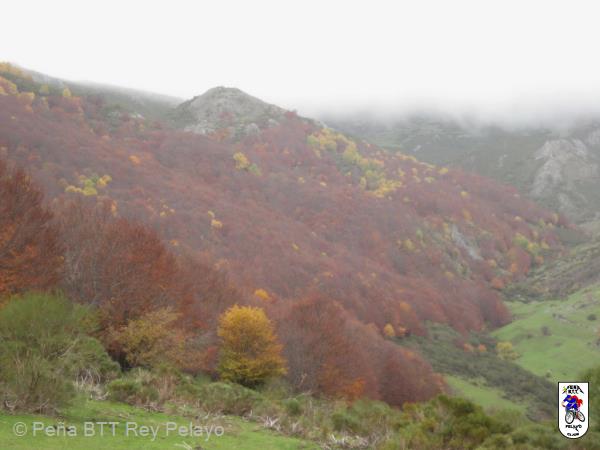 20131109154800.JPG