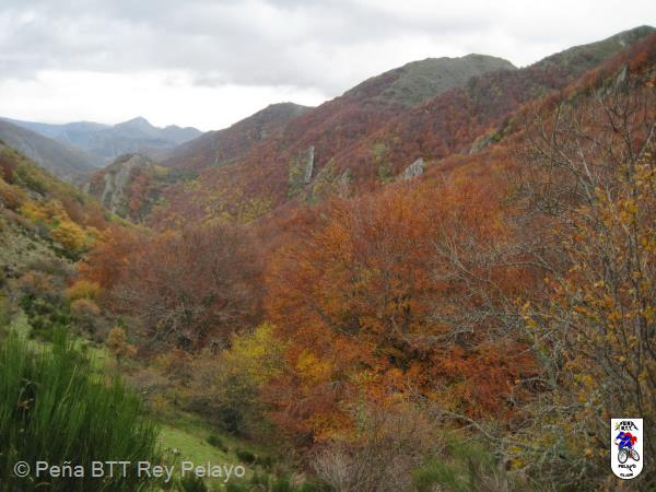 20131109155538.JPG