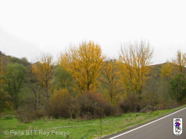 20131109161056.JPG