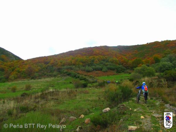 20131110112027.jpg