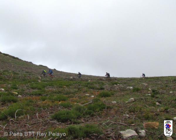 20131110115331.jpg