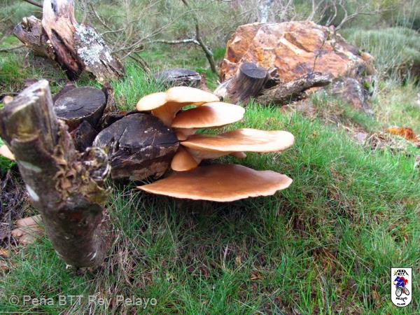 20131110135231.jpg