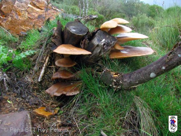 20131110135247.jpg