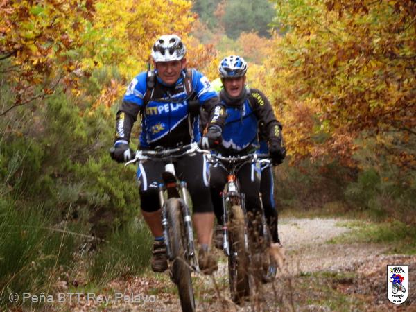20131115114427.JPG