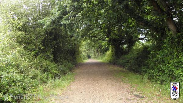20110514093334.JPG