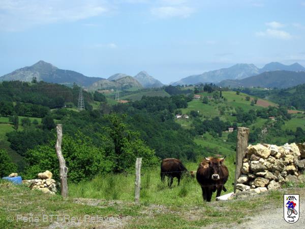 20120526152022.jpg