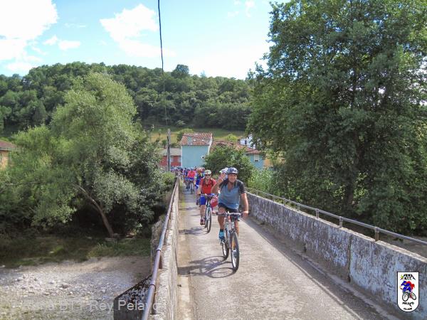 20140719171645S.jpg