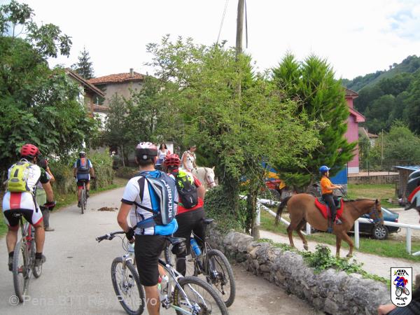 20140719180116S.jpg