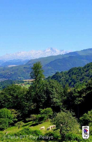 20160716171301-Ruben.jpg