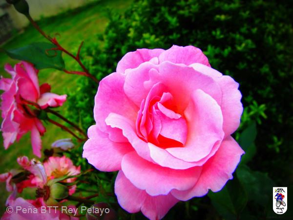 20140607160220.jpg