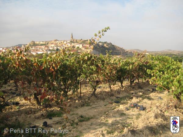 20161022110718_byMarin.jpg