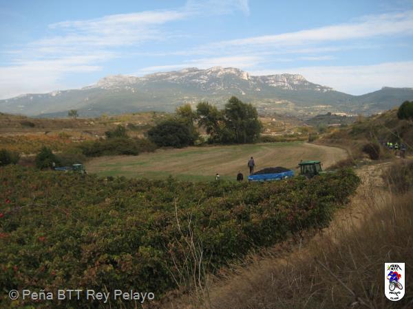 20161022121150_byMarin.jpg