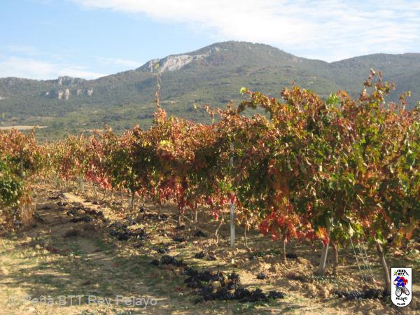 20161022122140_byMarin.jpg
