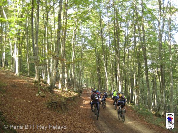 20161022135805_byMarin.jpg