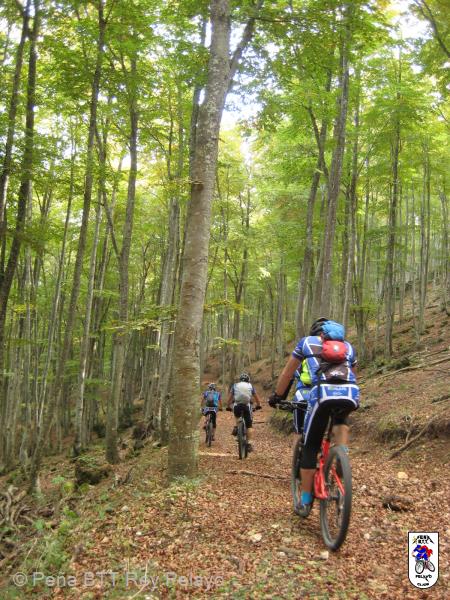 20161022142712_byMarin.jpg