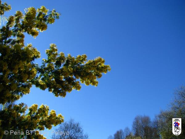 20130309113929.jpg