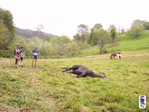 20080503111257.JPG