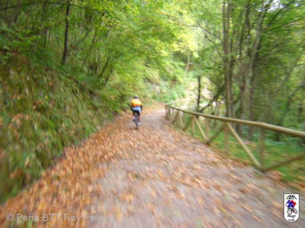 20041030145158-DSCN1971.JPG