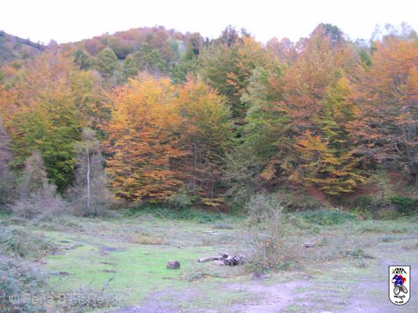 20041030150823-DSCN3225.JPG