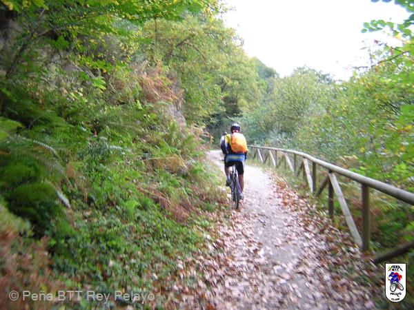 20041030152511-DSCN1979.JPG