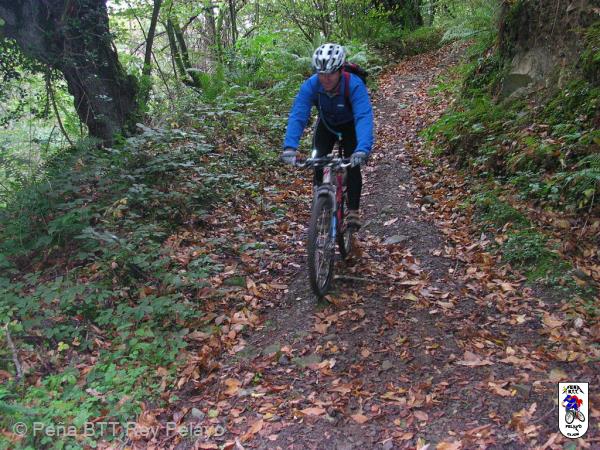 20041030153000-DSCN3230.JPG