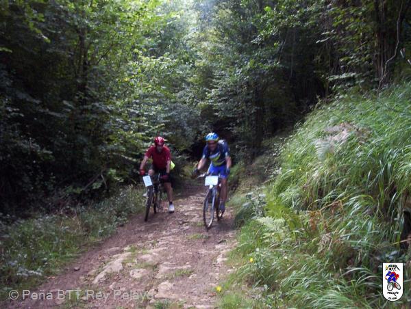 20020101150218-fot375.jpg