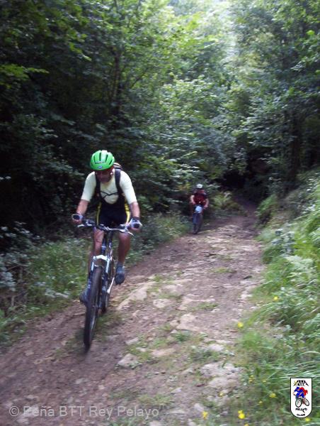 20020101150255-fot376.jpg