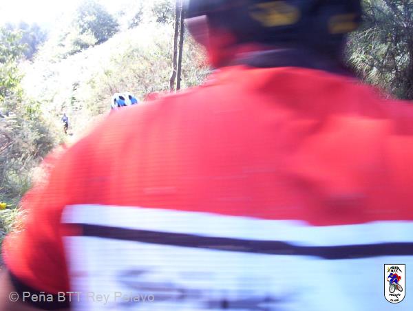 20020101165734-fot410.jpg