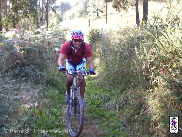 20020101170128-fot416.jpg