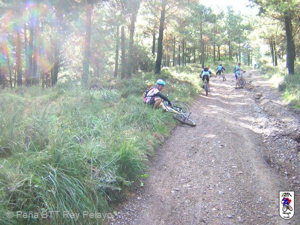 20040925112720-fot101.JPG