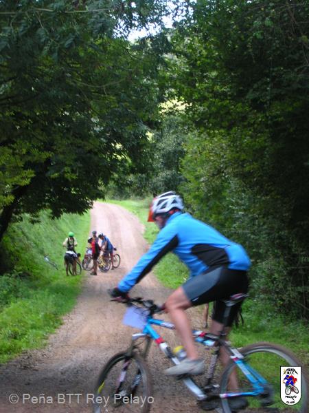 20040925113508-fot40.jpg