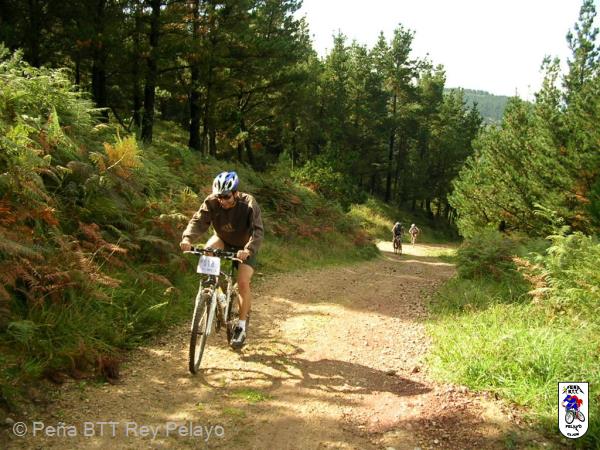 20040925120336-fot62.jpg