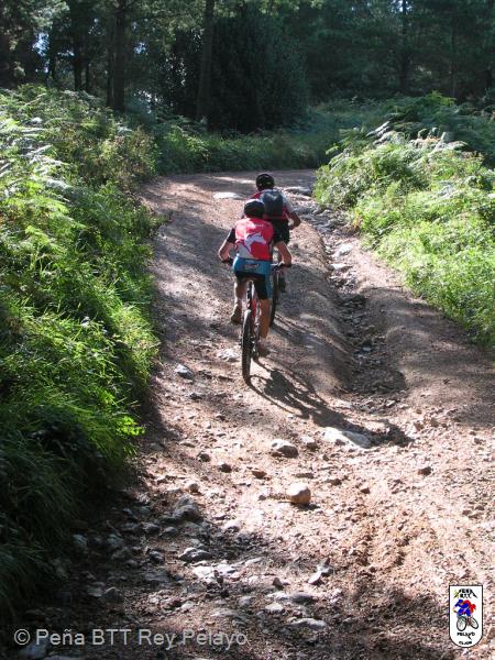 20040925121313-fot78.jpg