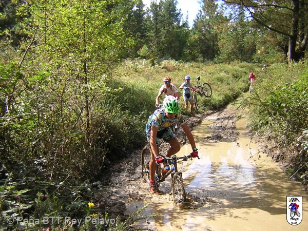 20040925123620-fot245.JPG