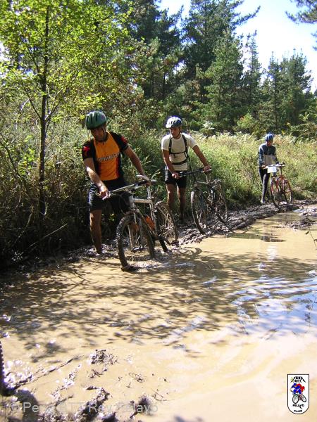20040925124701-fot277.JPG