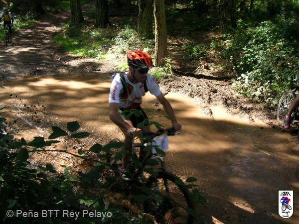 20040925132539-fot207.jpg