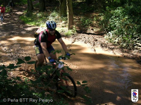 20040925132546-fot209.jpg